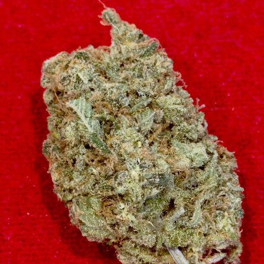Lemon Haze