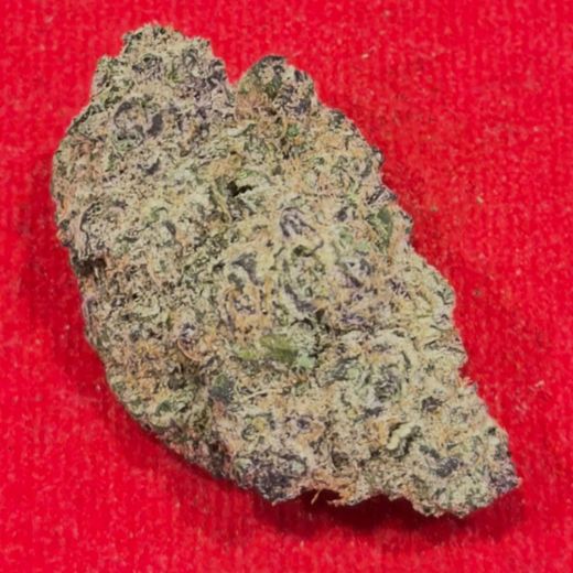 Tropicana Cherry Gelato