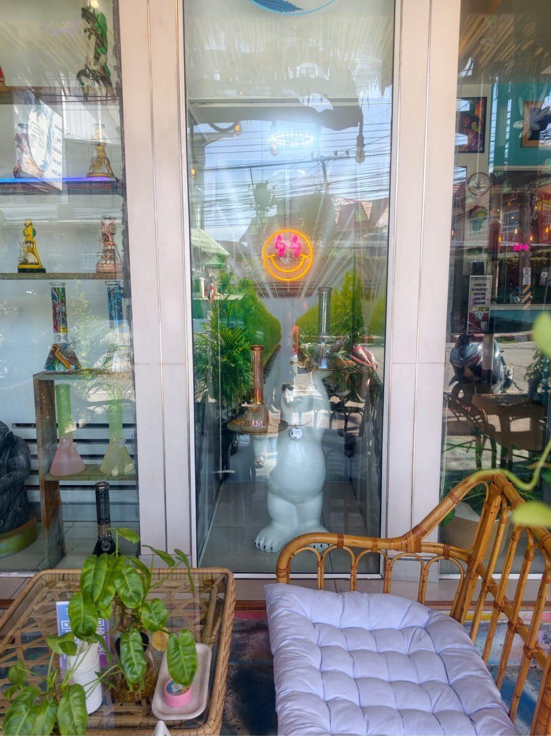 Weed Us — window-side rattan seating nook with plants
